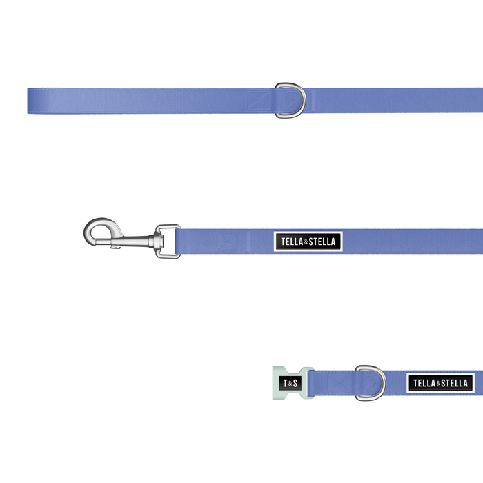 Duo collier et laisse pour chien Bleu hydrangea & Aqua