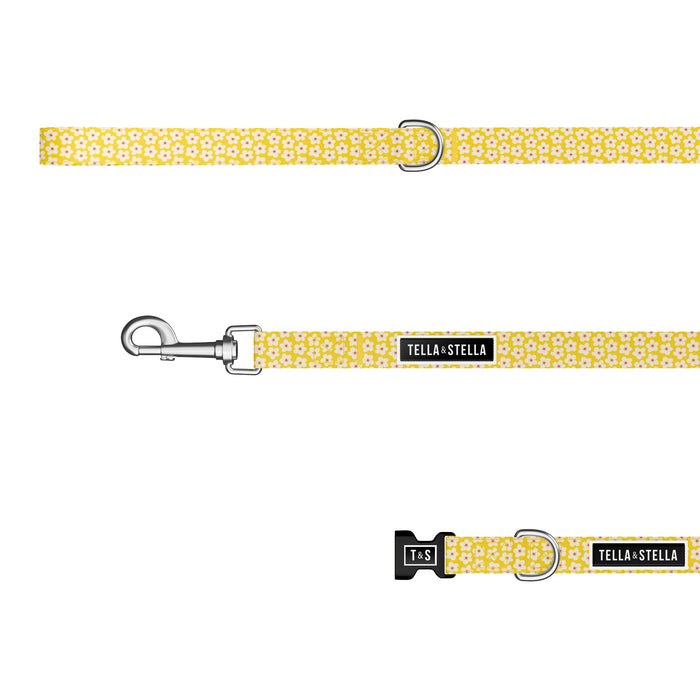 Duo collier et laisse pour chien Florence