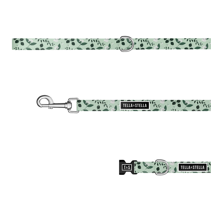 Duo collier et laisse pour chien Hoya