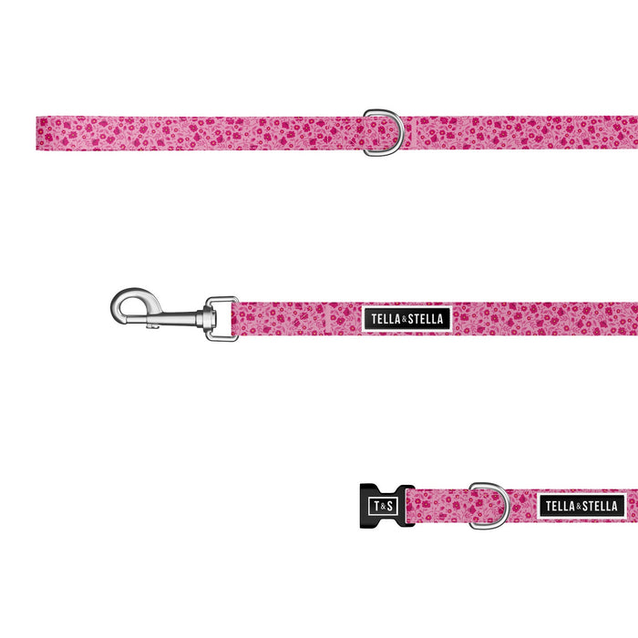 Juliette dog combo collar and leash