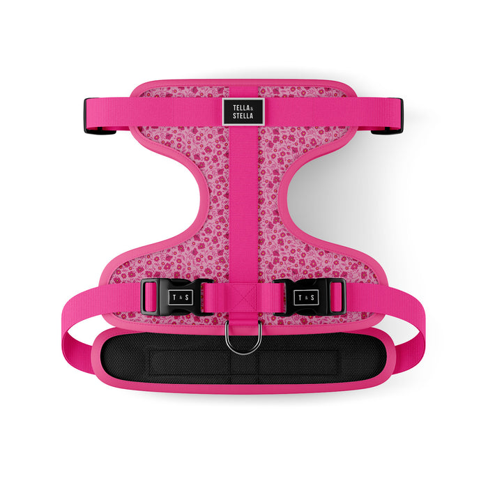 Harnais ajustable pour chien Juliette