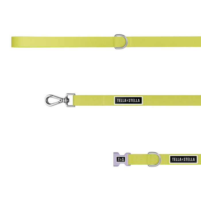 Duo collier et laisse pour chien Lime & Lila