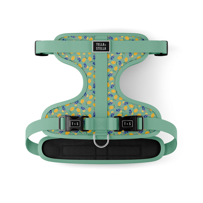 Harnais ajustable pour chien Limonade sucrée