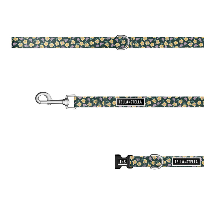Margot dog combo collar and leash