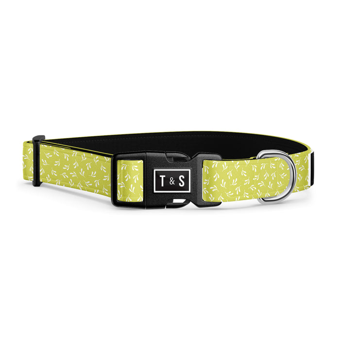 Lucy dog collar