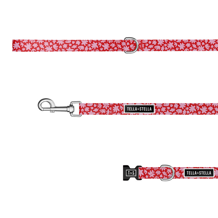 Mila dog combo collar and leash