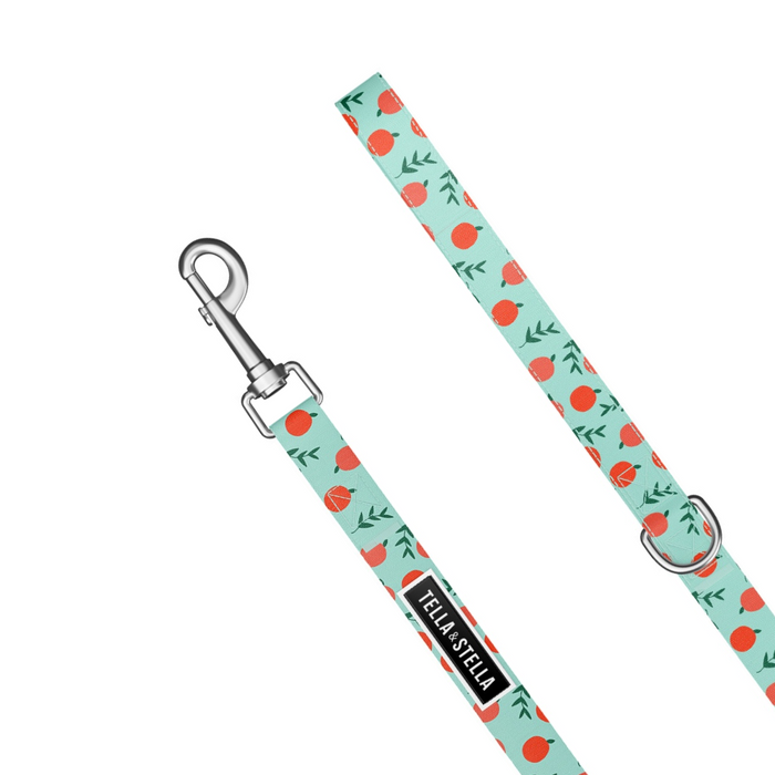 Laisse pour chien Pêche