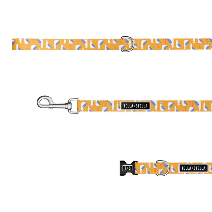 Seagull Party Combo Collar and Leash