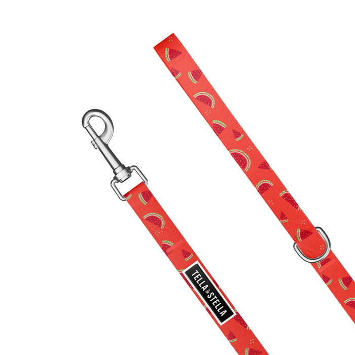 Laisse pour chien Pastèque Fraîche