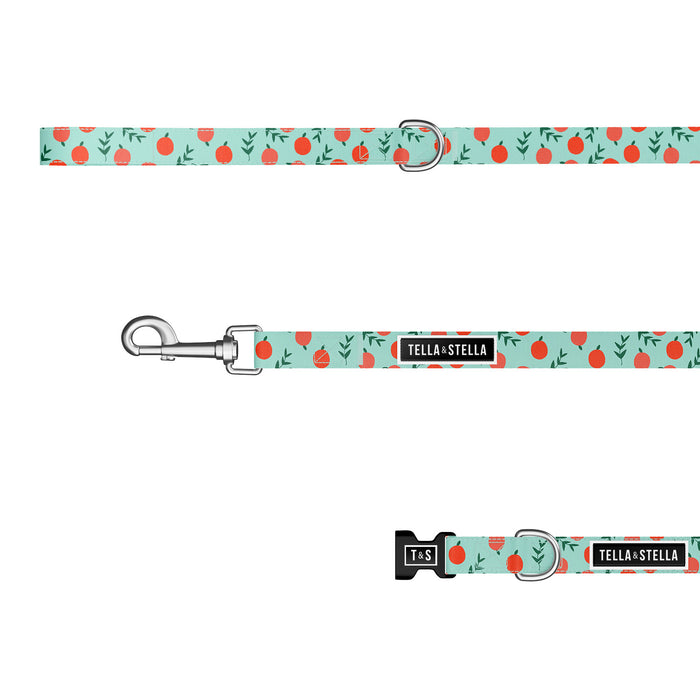 Peach Combo Collar and Leash