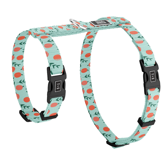 Harnais pour chat Pêche