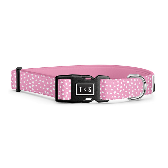 Polka Dot dog collar