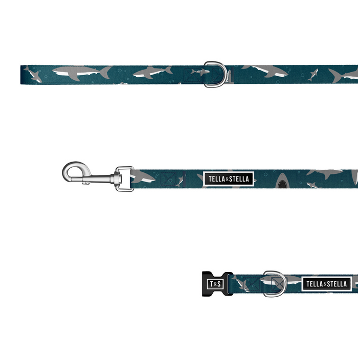 Shark Attack Combo Collar and Leash
