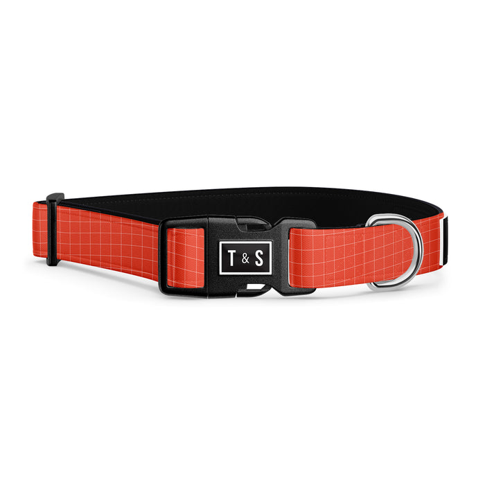 Tango dog collar