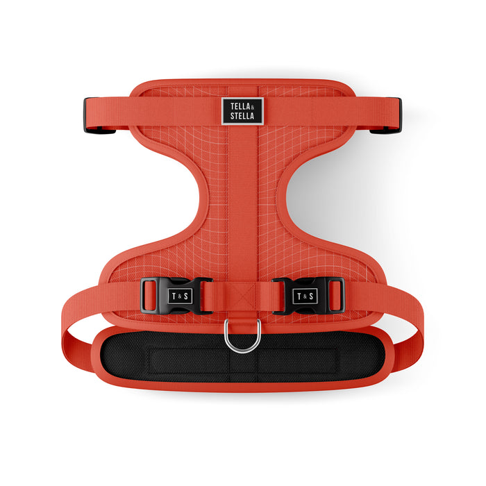 Harnais ajustable pour chien Tango