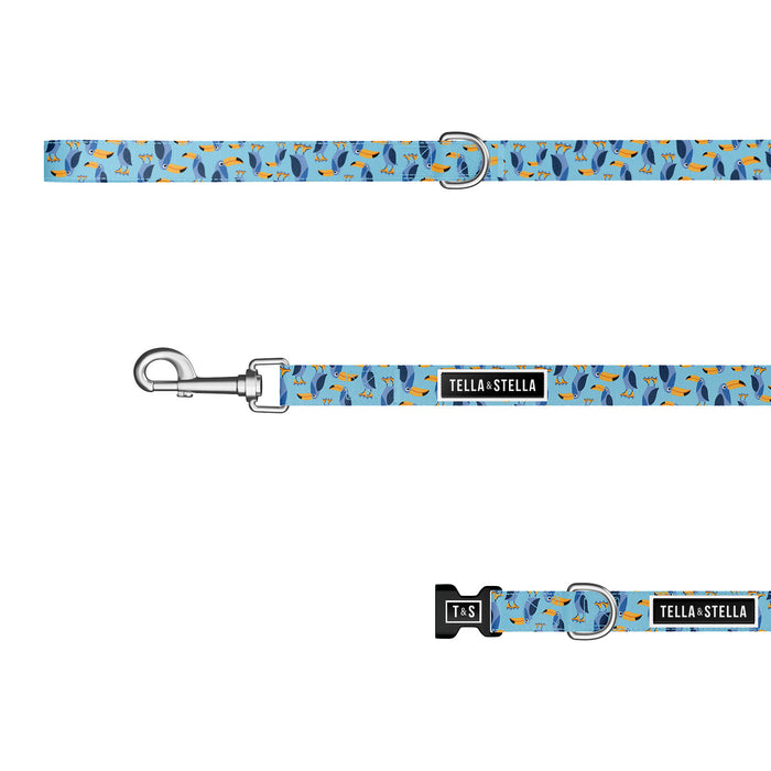 Toco the toucan dog combo collar and leash