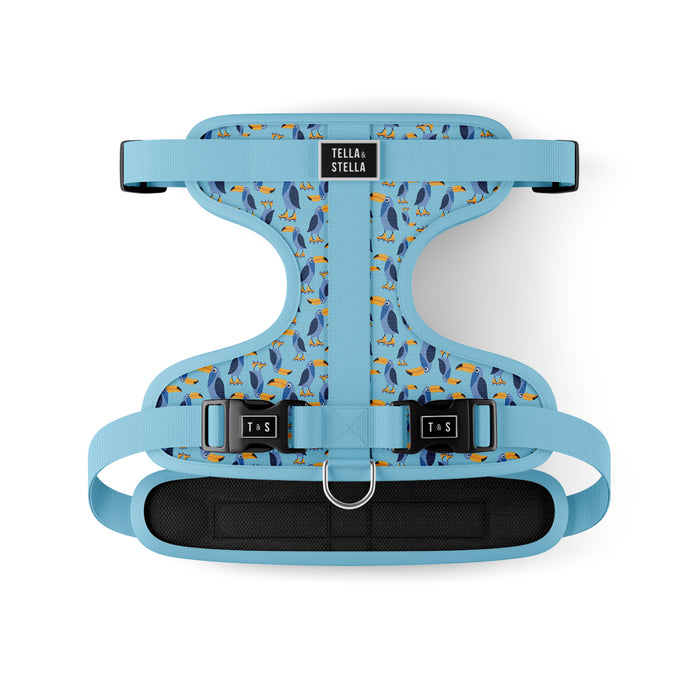 Harnais ajustable pour chien Toco le toucan