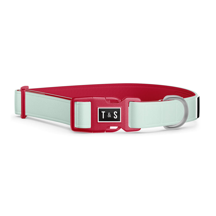 Collier pour chien Aqua & Rouge