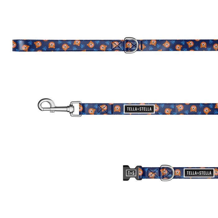 Duo collier et laisse pour chien Willy le grizzly