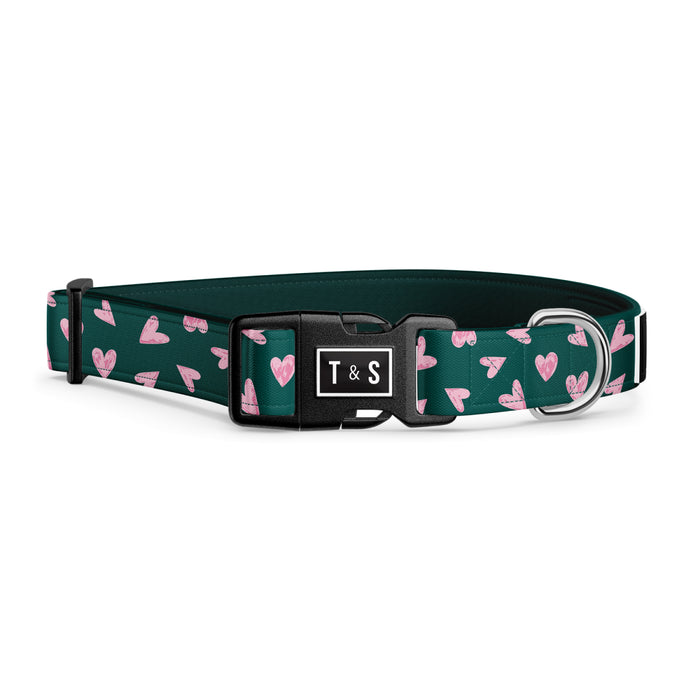 Beatrice dog collar