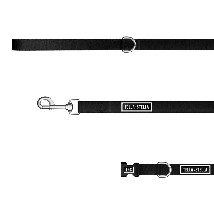 Black dog combo collar and leash