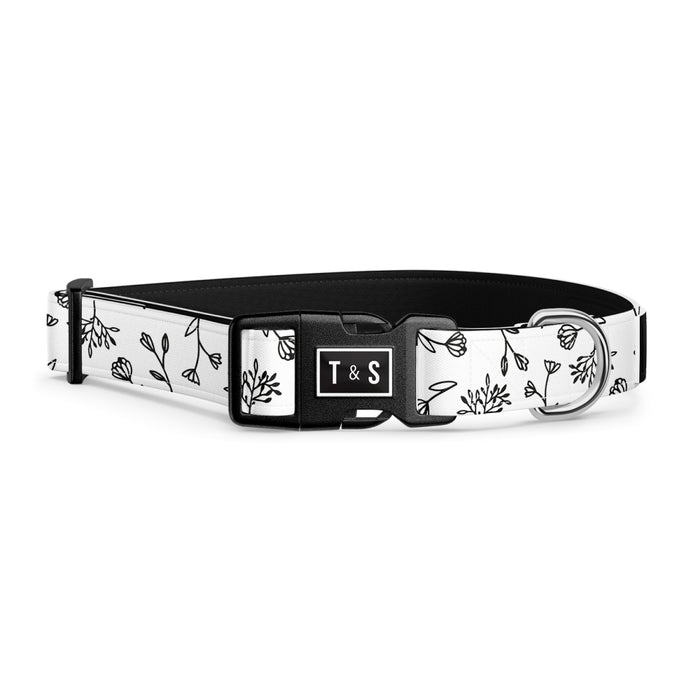 Collier pour chien Black Baccara