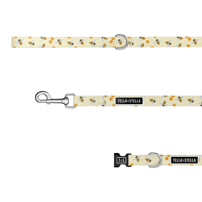 Buzz Combo Collar and Leash