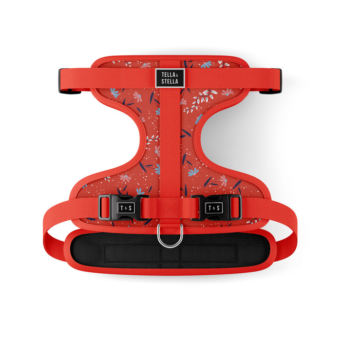 Harnais ajustable pour chien Livia