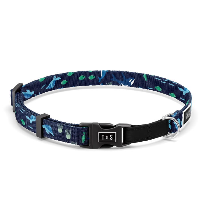 Maritime meeting cat collar