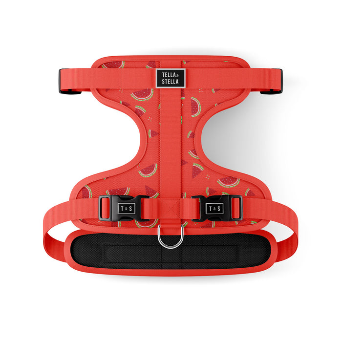 Harnais ajustable pour chien Pastèque Fraîche