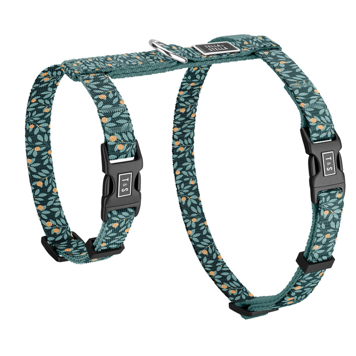 Harnais pour chat Nectar