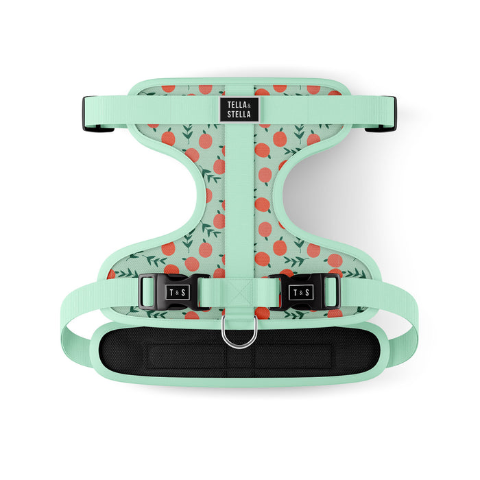 Harnais ajustable pour chien Pêche