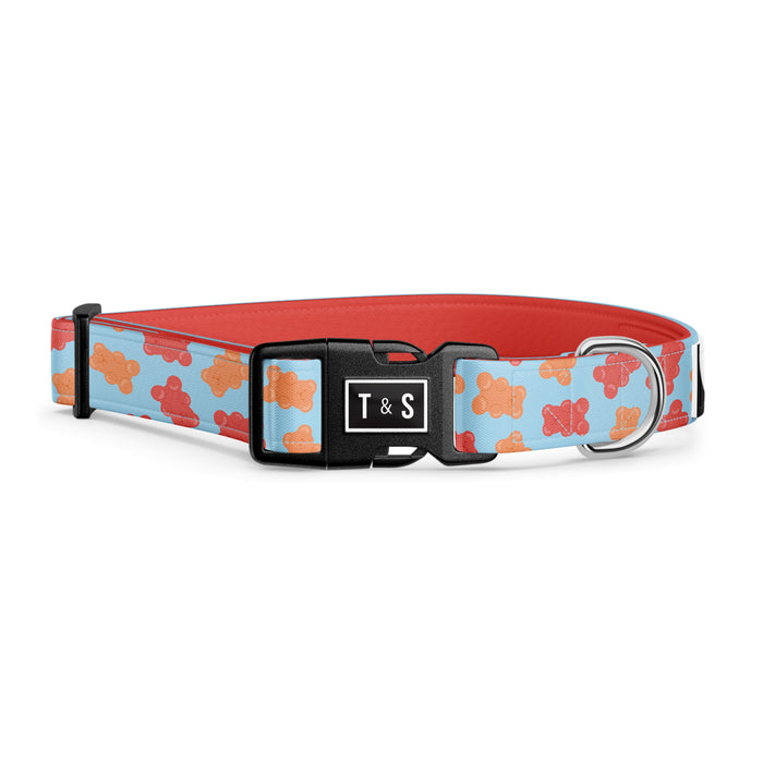 Remy Gummy dog collar