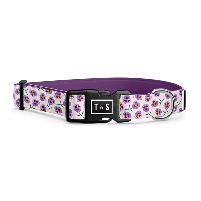 Collier pour chien Violette