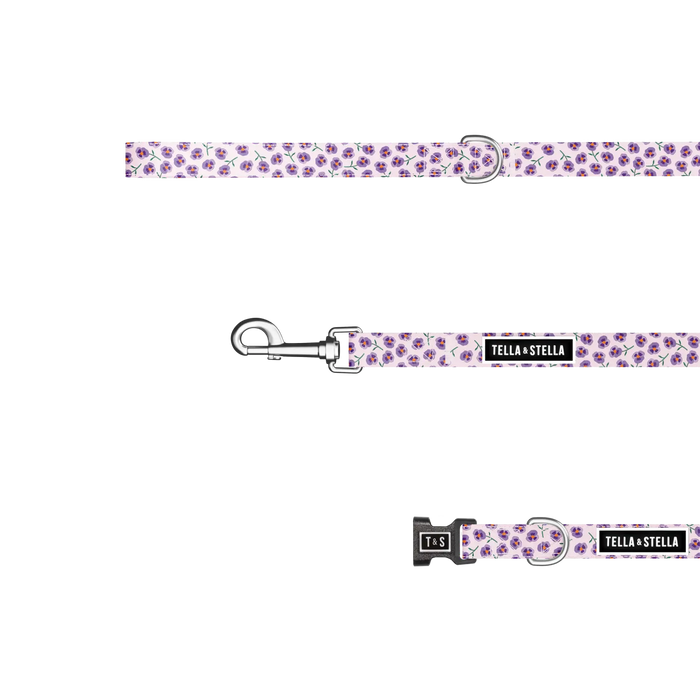 Violet dog combo collar and leash