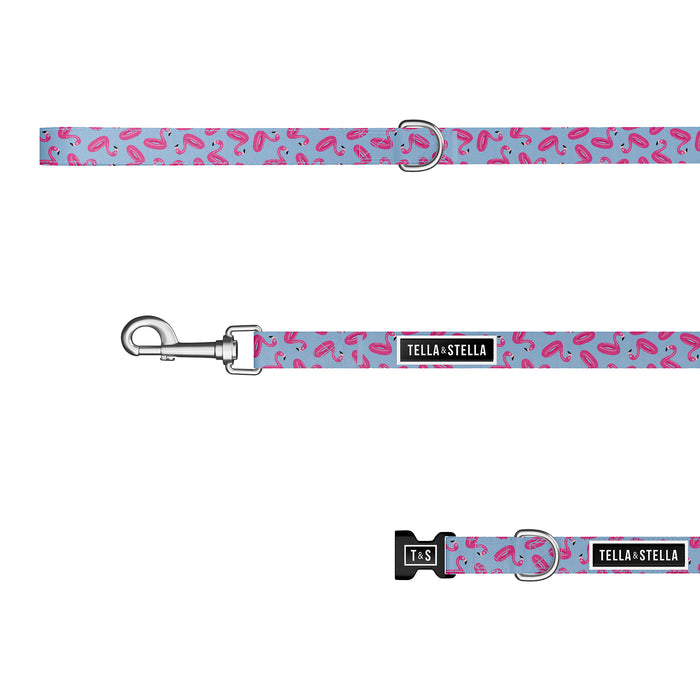 Flamboyant Flamingo combo collar and leash