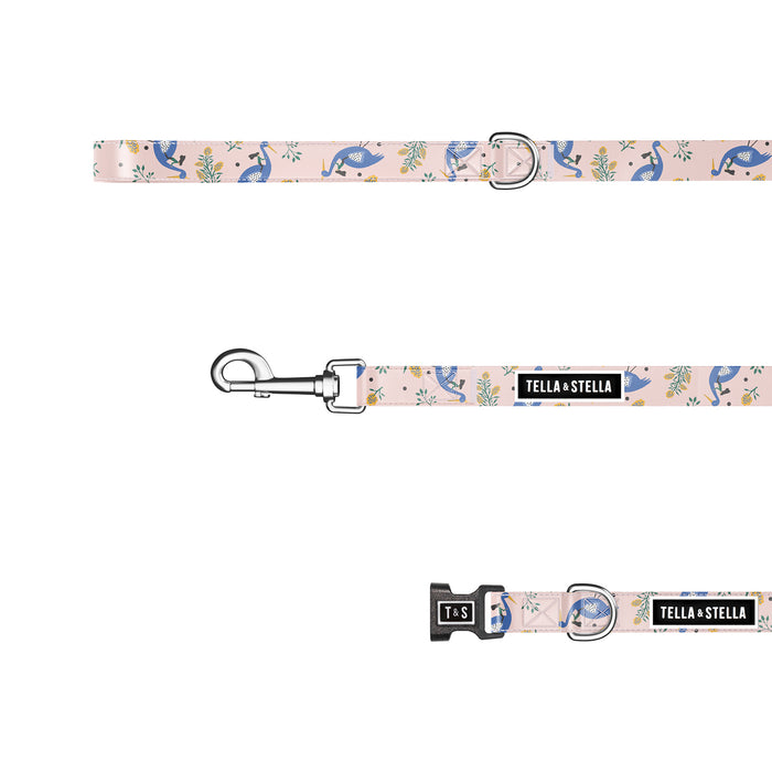 Duo collier et laisse pour chien Héra