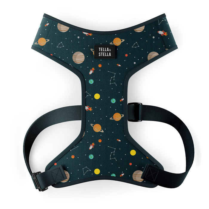 Harnais fixe pour chien Houston (VENTE FINALE)