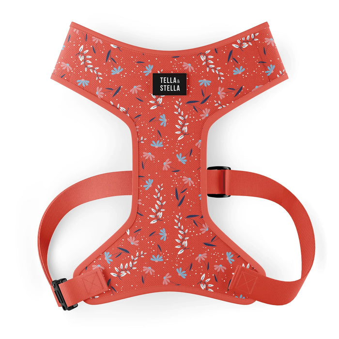 Harnais fixe pour chien Livia (VENTE FINALE)