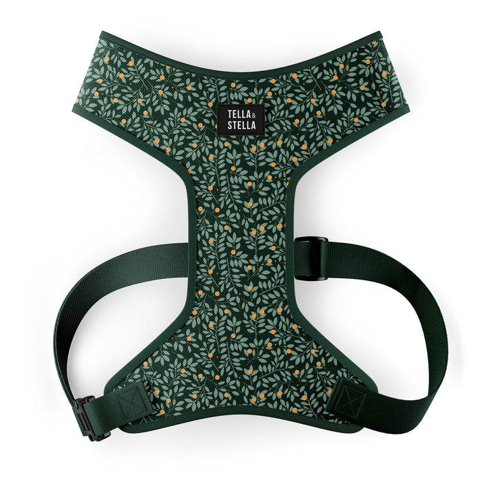 Harnais fixe pour chien Nectar (VENTE FINALE)