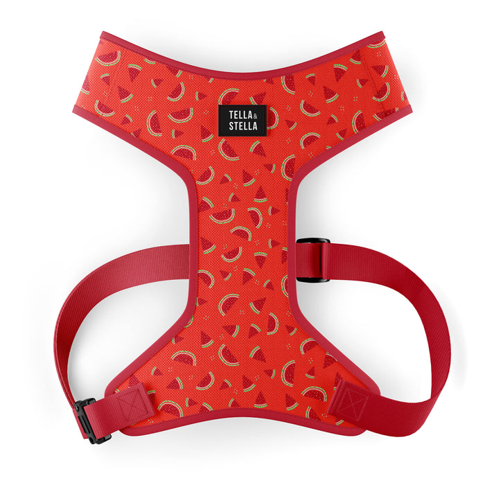 Harnais fixe pour chien Pastèque Fraîche (VENTE FINALE)