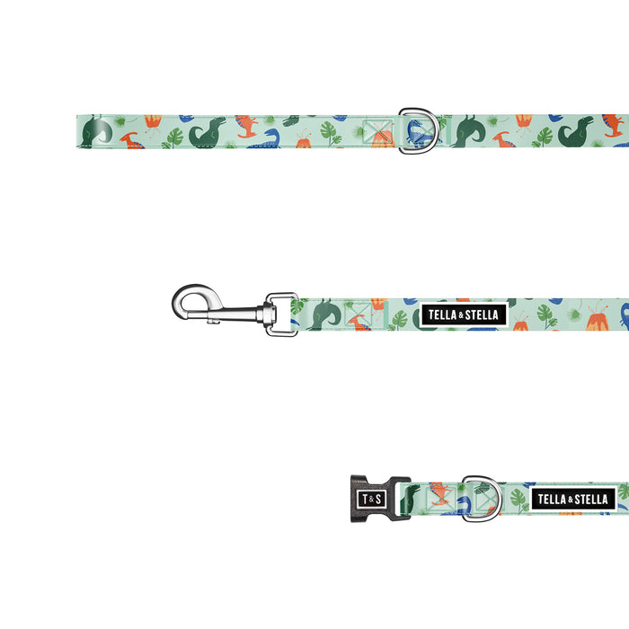 Duo collier et laisse pour chien T-Rex