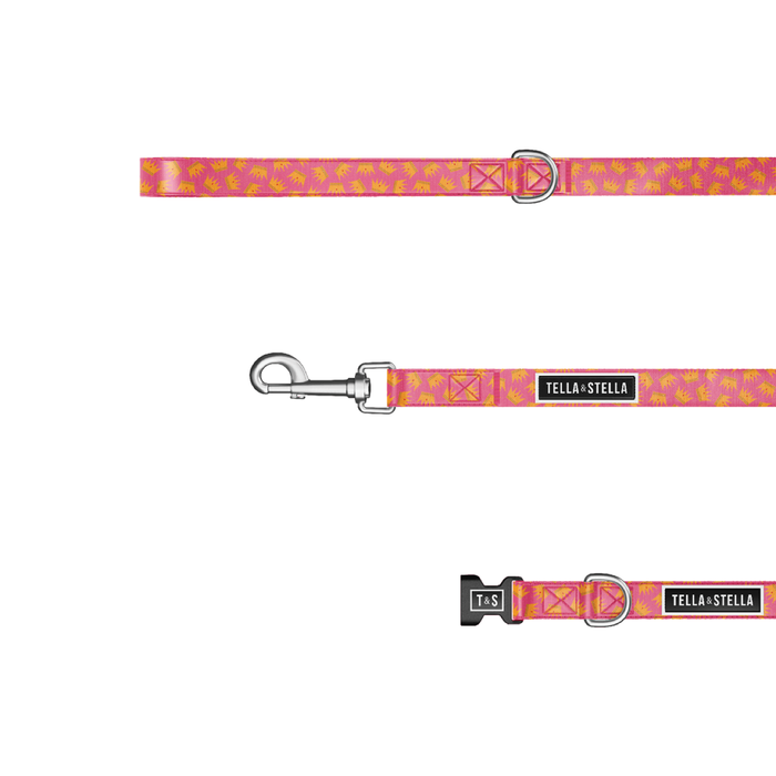 Duo collier et laisse pour chien Princesse