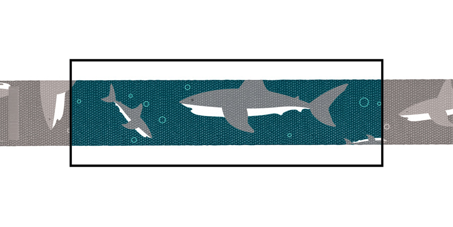 Shark cat clearance collar