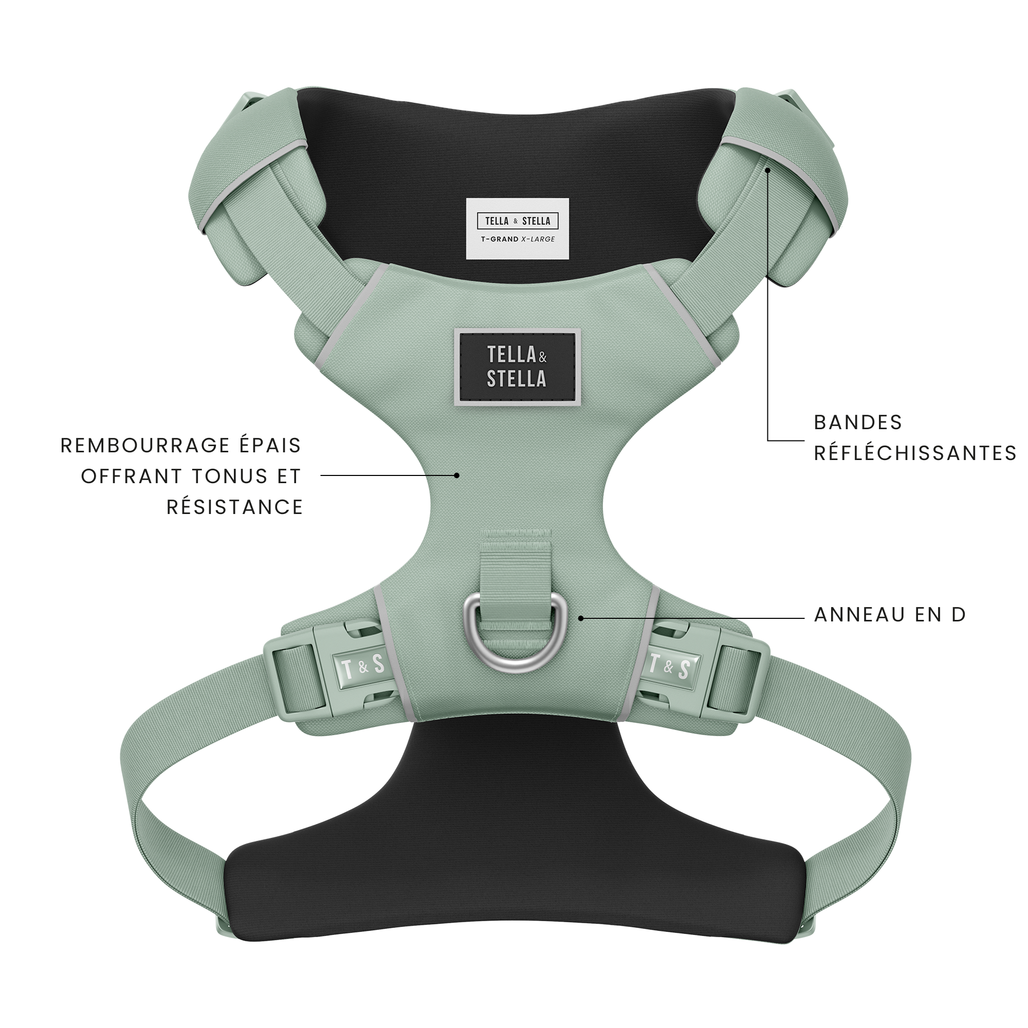 Harnais robuste pour chien Aqua