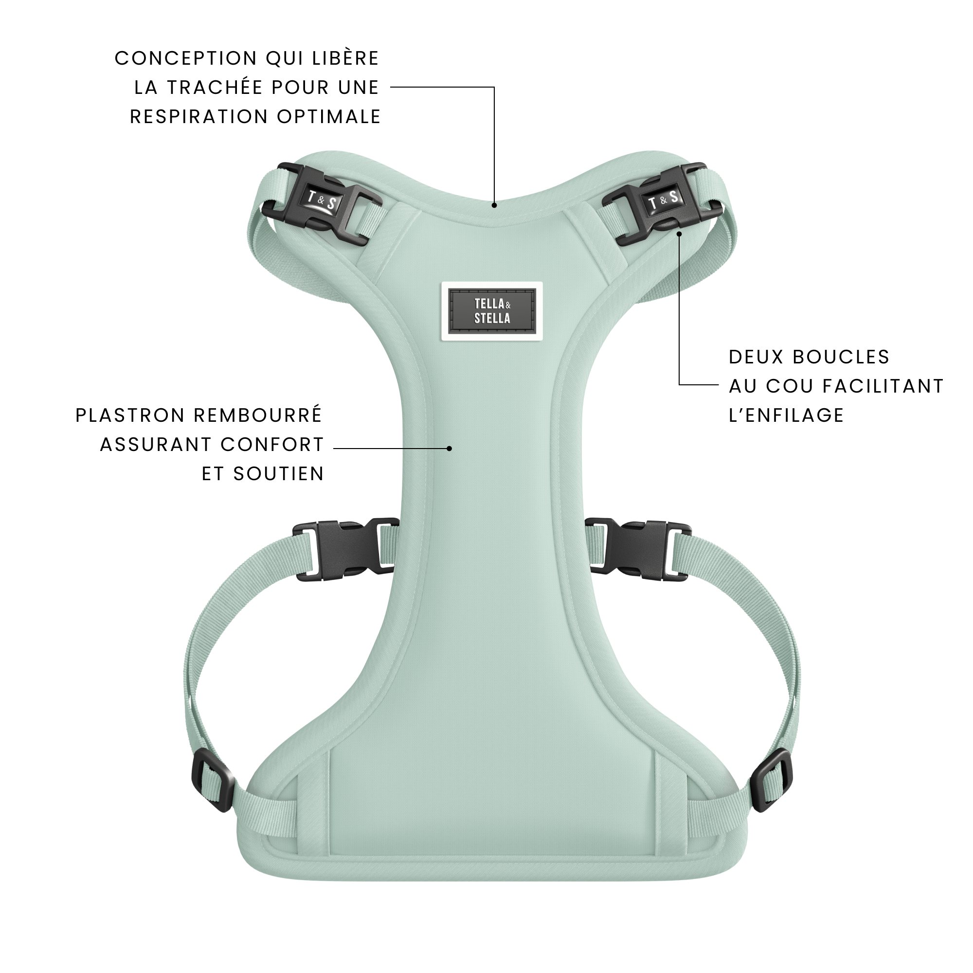 XS dog harness - Aqua – Tella & Stella