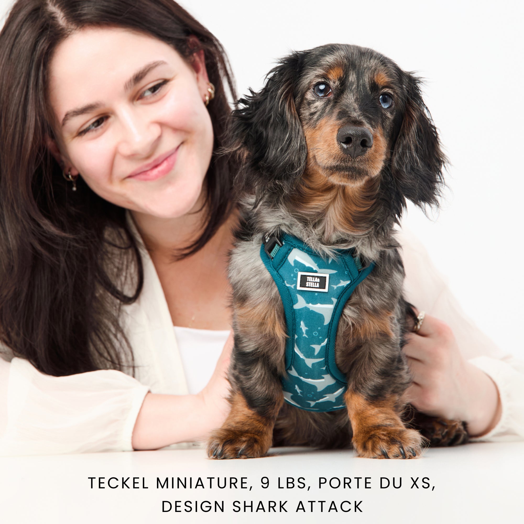 XS dog harness - Aqua – Tella & Stella