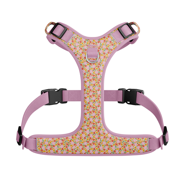 Harnais hybride pour chien Flora