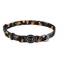 Collier pour chat Astro