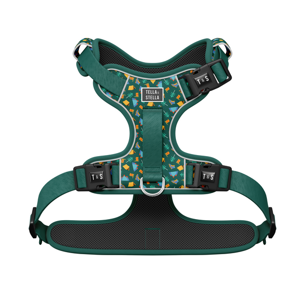 Dog harness with handle - Banff